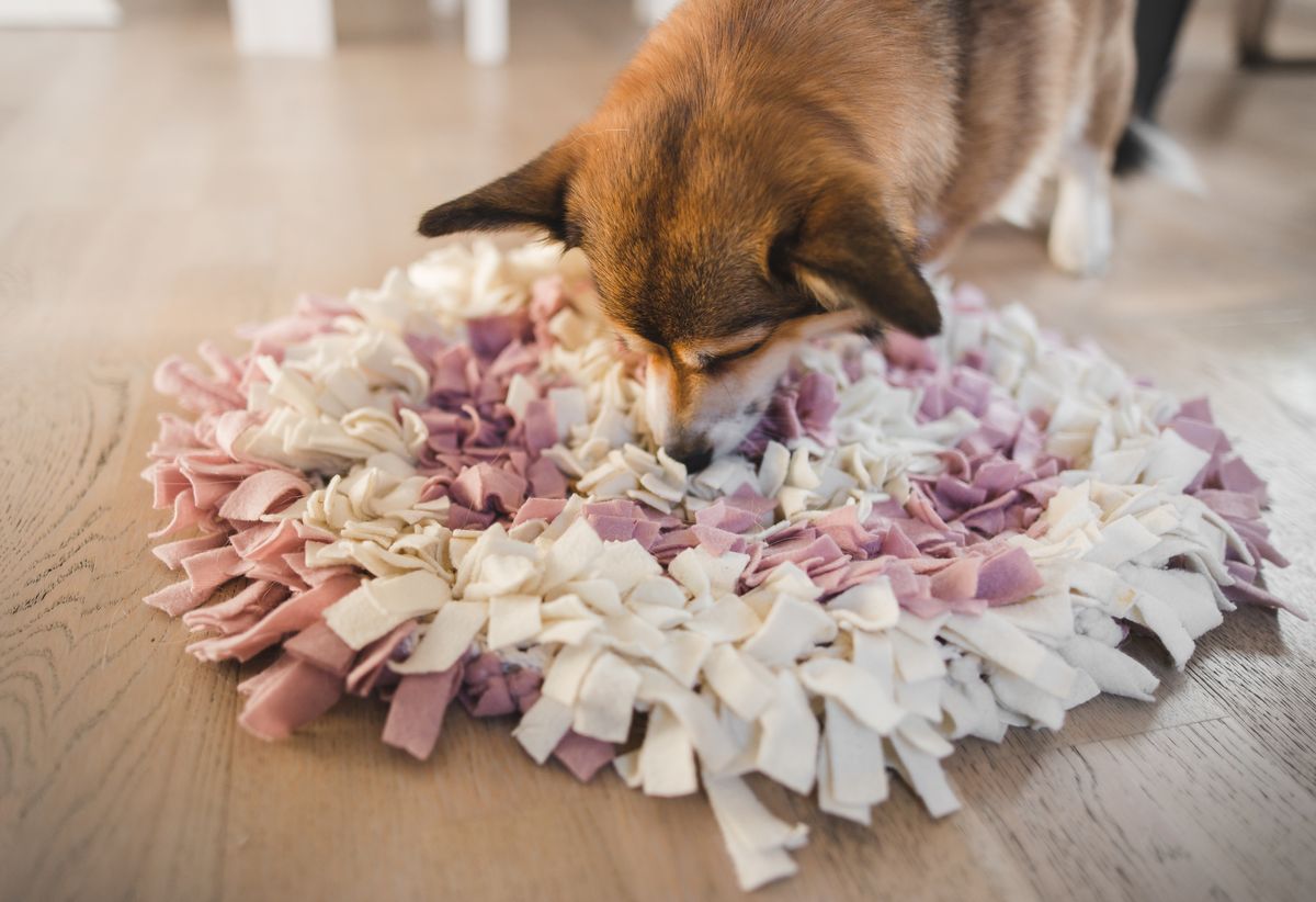 awoof snuffle mat