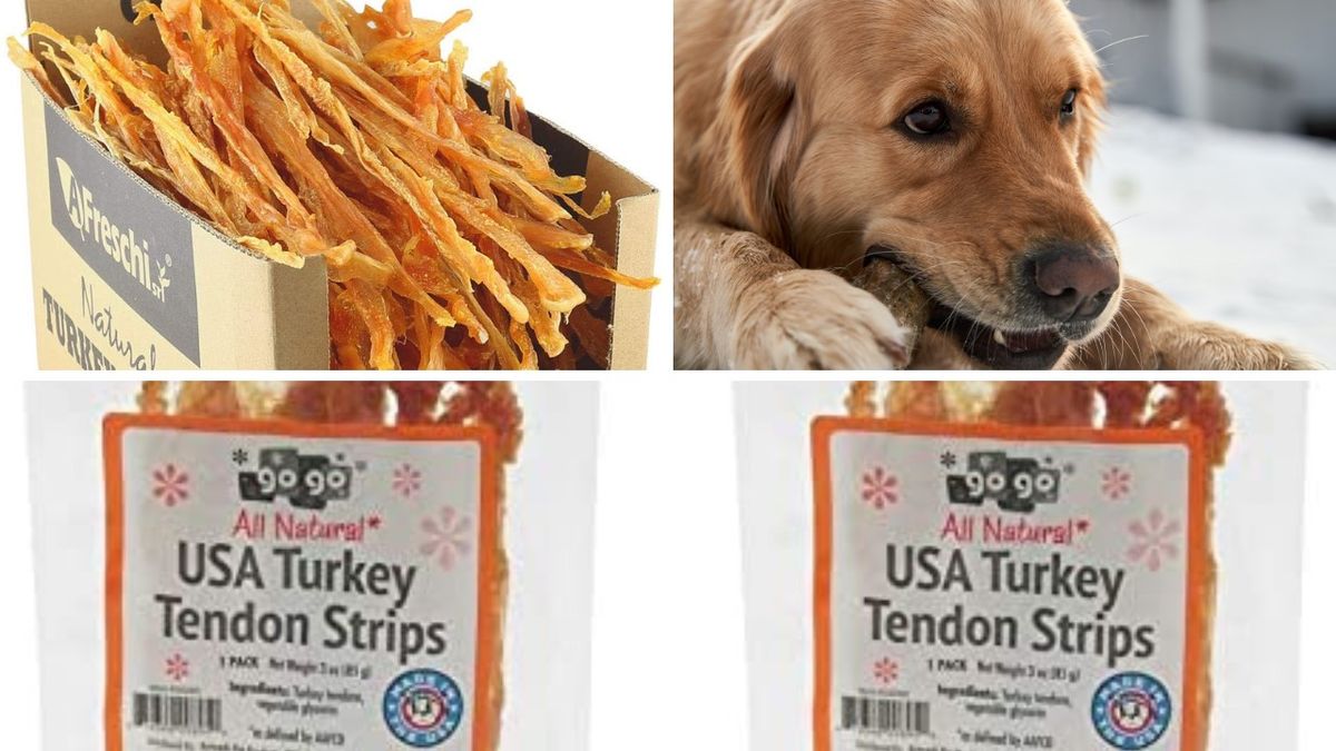 PupPleasing Turkey Tendon Dog TreatsTop 5 Picks!