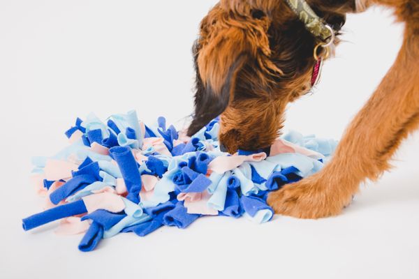 Are Snuffle Mats Good for Dogs?