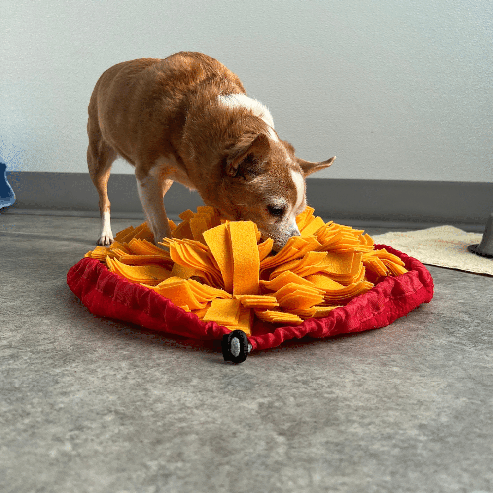 How to Wash a Snuffle Mat?