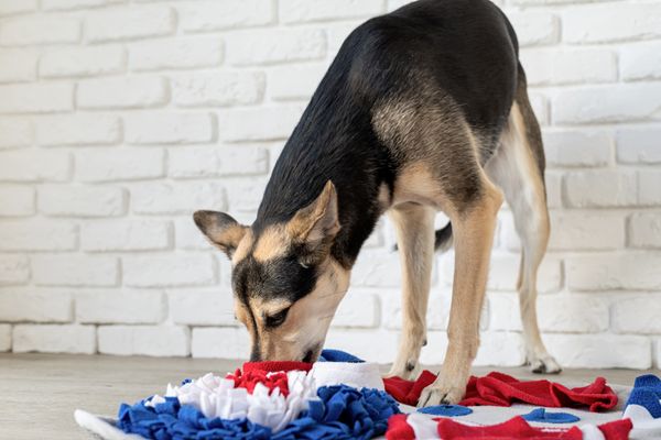 What Is a Snuffle Mat?