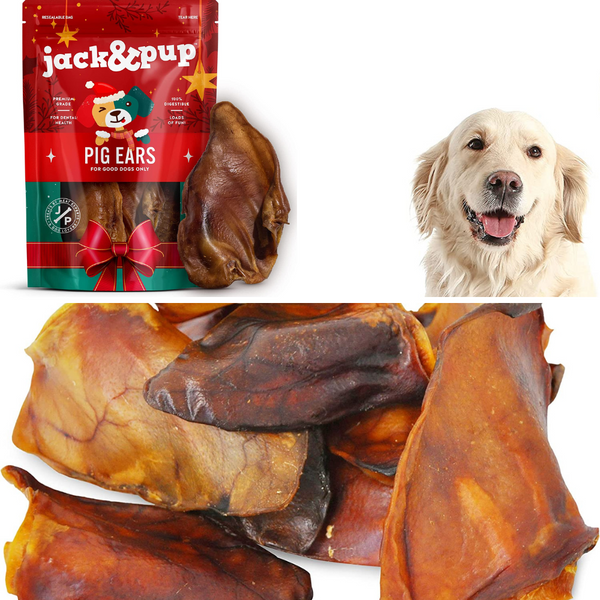 Can Dogs Eat Pig Ears? - The Answer Might Surprise You!