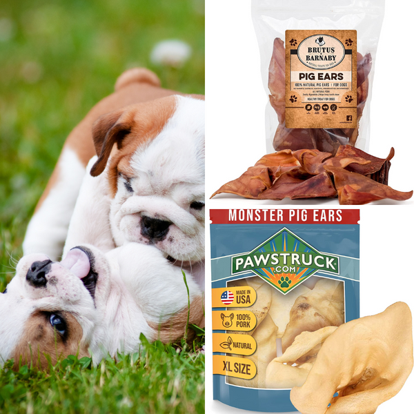 5 Best Pig Ears for Dogs on Amazon