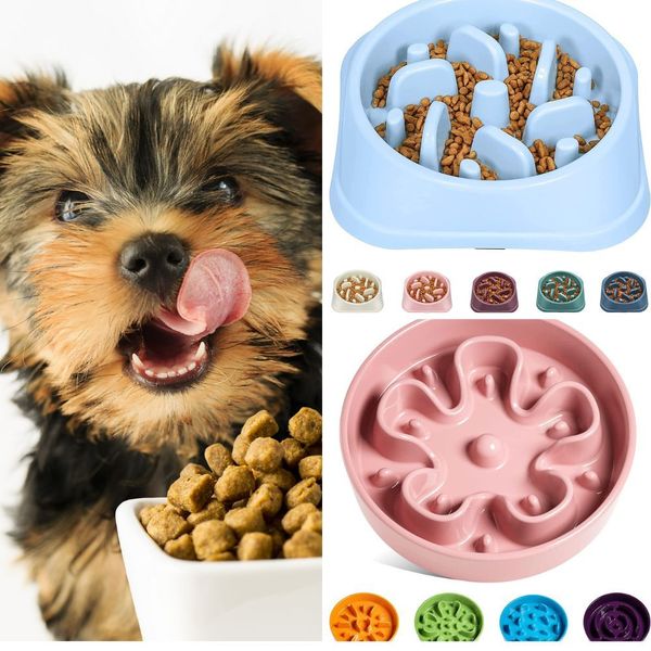 Are Slow Feeder Bowls Good for Dogs?